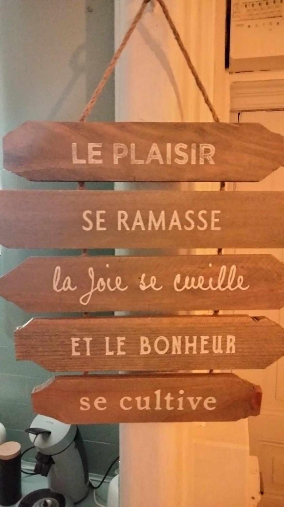 Apartamento Le Nid Douillet Champetre Linge Fourni La Bourboule Exterior foto